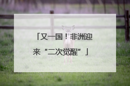 又一国！非洲迎来“二次觉醒”