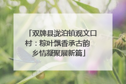 双牌县泷泊镇观文口村：粽叶飘香承古韵 乡情凝聚展新篇
