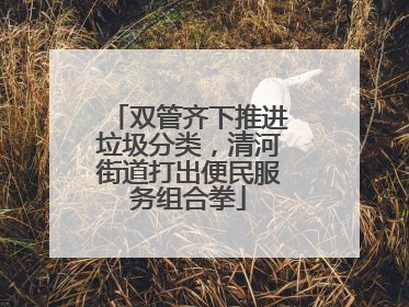 双管齐下推进垃圾分类，清河街道打出便民服务组合拳