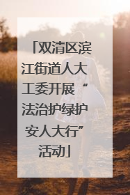 双清区滨江街道人大工委开展“法治护绿护安人大行”活动