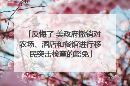 反悔了 美政府撤销对农场、酒店和餐馆进行移民突击检查的豁免