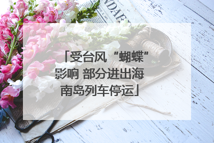 受台风“蝴蝶”影响 部分进出海南岛列车停运