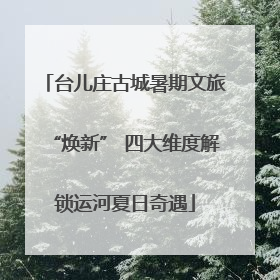 台儿庄古城暑期文旅“焕新” 四大维度解锁运河夏日奇遇
