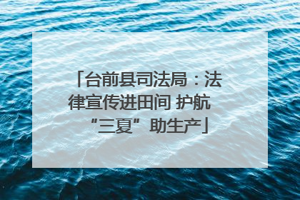台前县司法局：法律宣传进田间 护航“三夏”助生产