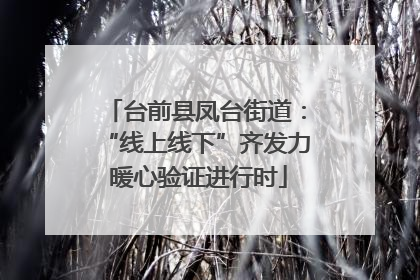 台前县凤台街道：“线上线下”齐发力 暖心验证进行时