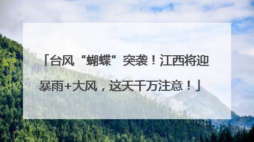 台风“蝴蝶”突袭！江西将迎暴雨+大风，这天千万注意！