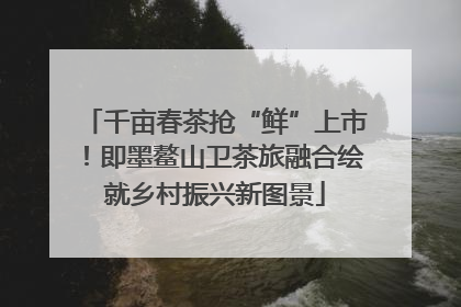 千亩春茶抢“鲜”上市！即墨鳌山卫茶旅融合绘就乡村振兴新图景