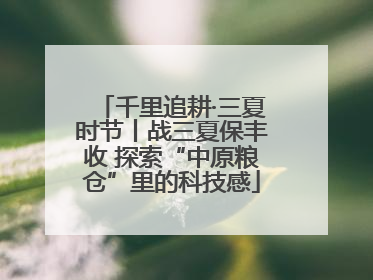 千里追耕·三夏时节丨战三夏保丰收 探索“中原粮仓”里的科技感