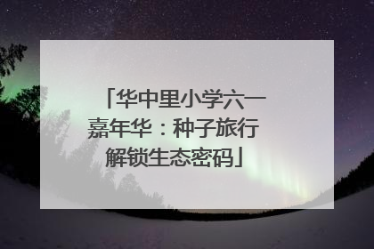 华中里小学六一嘉年华：种子旅行解锁生态密码