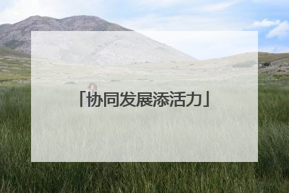 协同发展添活力
