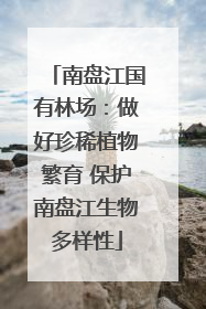 南盘江国有林场：做好珍稀植物繁育 保护南盘江生物多样性