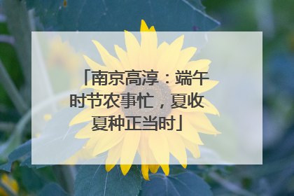 南京高淳：端午时节农事忙，夏收夏种正当时