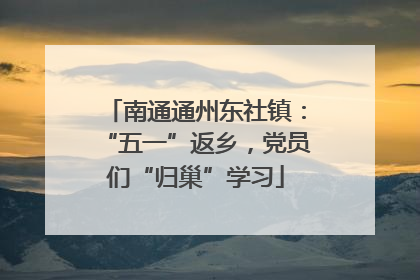 南通通州东社镇：“五一”返乡，党员们“归巢”学习