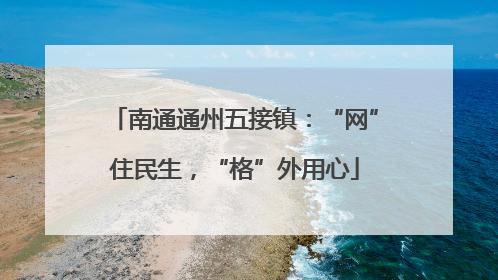 南通通州五接镇：“网”住民生，“格”外用心