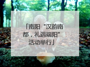 南阳“汉韵南都，礼遇端阳”活动举行