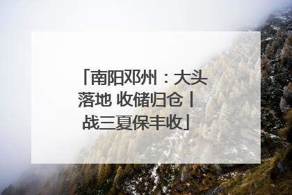南阳邓州：大头落地 收储归仓丨战三夏保丰收