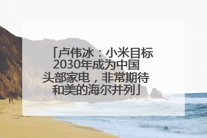 卢伟冰：小米目标2030年成为中国头部家电，非常期待和美的海尔并列