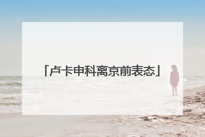 卢卡申科离京前表态