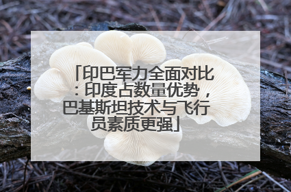 印巴军力全面对比：印度占数量优势，巴基斯坦技术与飞行员素质更强