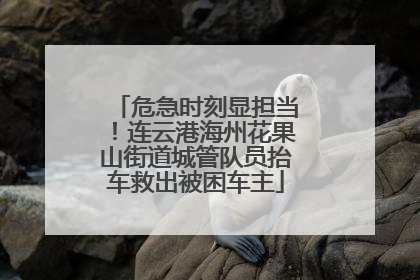 危急时刻显担当！连云港海州花果山街道城管队员抬车救出被困车主