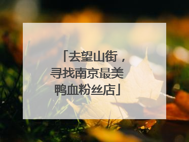 去望山街，寻找南京最美鸭血粉丝店