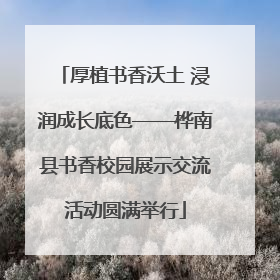 厚植书香沃土 浸润成长底色——桦南县书香校园展示交流活动圆满举行