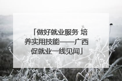 做好就业服务 培养实用技能——广西促就业一线见闻