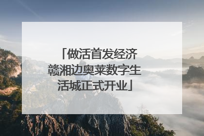 做活首发经济 赣湘边奥莱数字生活城正式开业