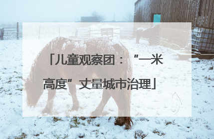 儿童观察团：“一米高度”丈量城市治理