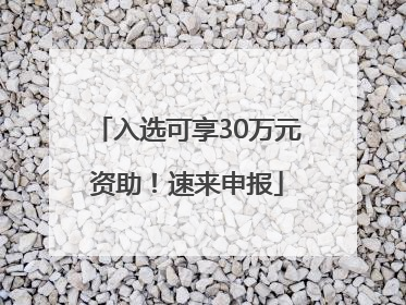 入选可享30万元资助！速来申报