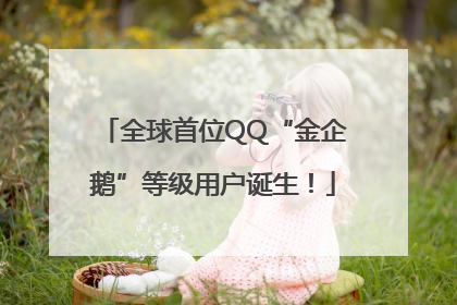 全球首位QQ“金企鹅”等级用户诞生！