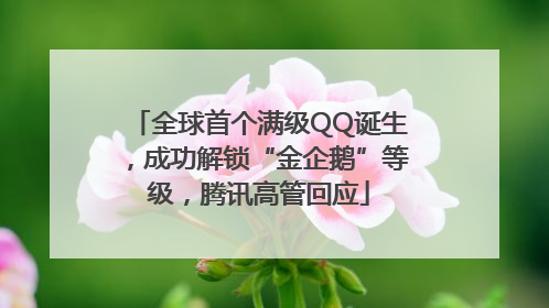 全球首个满级QQ诞生，成功解锁“金企鹅”等级，腾讯高管回应