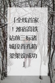 全线首家！潍宿高铁站前三标诸城段首孔箱梁架设成功
