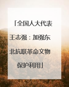 全国人大代表王志强：加强东北抗联革命文物保护利用