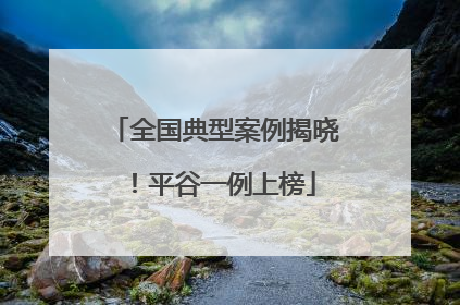 全国典型案例揭晓！平谷一例上榜