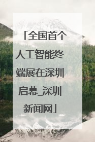 全国首个人工智能终端展在深圳启幕_深圳新闻网