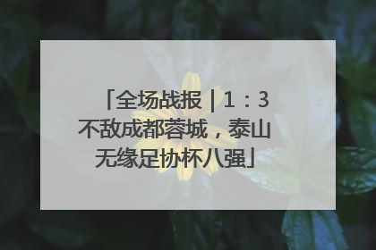全场战报｜1：3不敌成都蓉城，泰山无缘足协杯八强