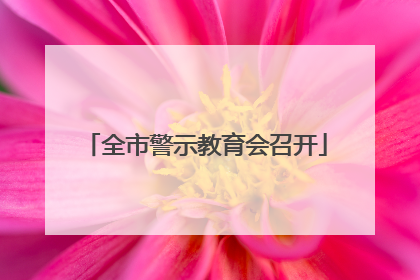 全市警示教育会召开