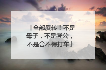 全部反转！不是母子，不是考公，不是舍不得打车
