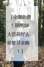 全部免费！郑州10大赏荷好去处推荐来啦！