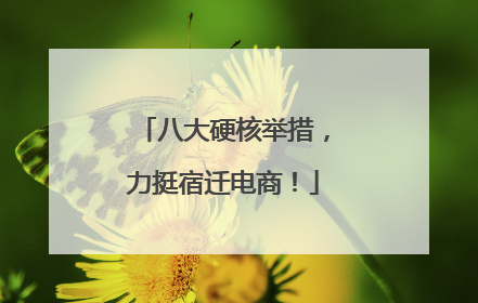 八大硬核举措，力挺宿迁电商！