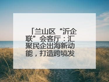 兰山区“沂企联”会客厅：汇聚民企出海新动能，打造跨境发展“强磁场”