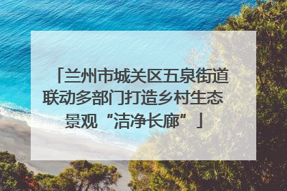 兰州市城关区五泉街道联动多部门打造乡村生态景观“洁净长廊”