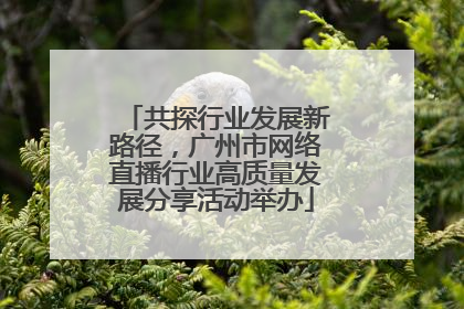 共探行业发展新路径，广州市网络直播行业高质量发展分享活动举办