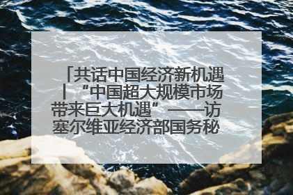 共话中国经济新机遇丨“中国超大规模市场带来巨大机遇”——访塞尔维亚经济部国务秘书尼科利奇