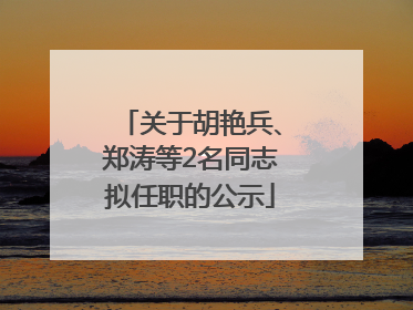 关于胡艳兵、郑涛等2名同志拟任职的公示