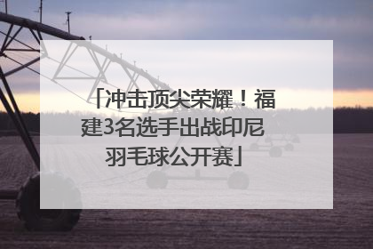 冲击顶尖荣耀！福建3名选手出战印尼羽毛球公开赛