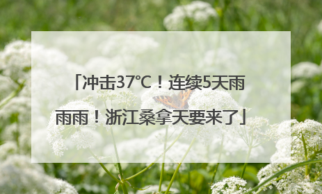 冲击37℃！连续5天雨雨雨！浙江桑拿天要来了