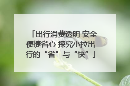 出行消费透明 安全便捷省心 探究小拉出行的“省”与“快”