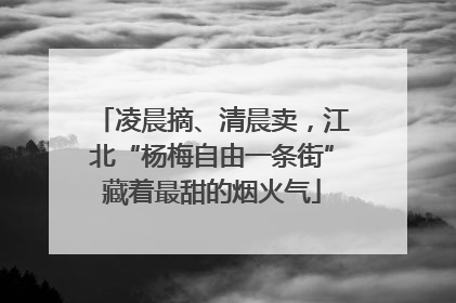 凌晨摘、清晨卖，江北“杨梅自由一条街”藏着最甜的烟火气